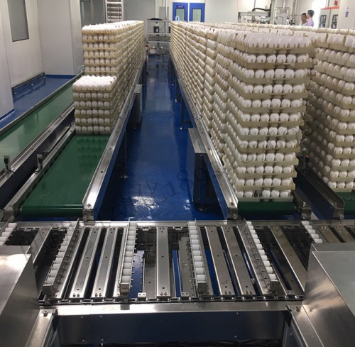 倍速链流水线 倍速链流水线